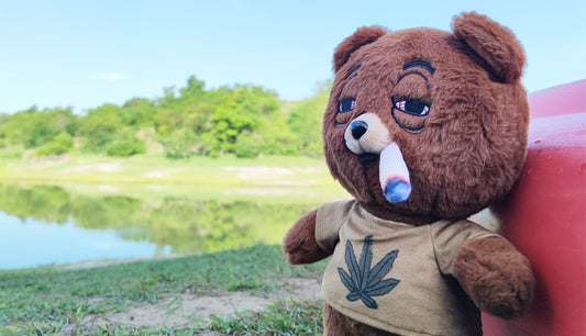 Weedy The Bear: The Hottest 420 Plushie Trend of the Year