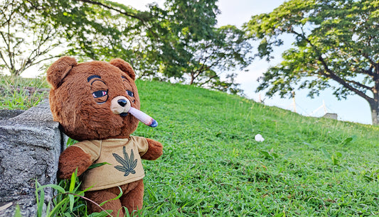 Weedy: From Plush Toy to Viral Meme Sensation